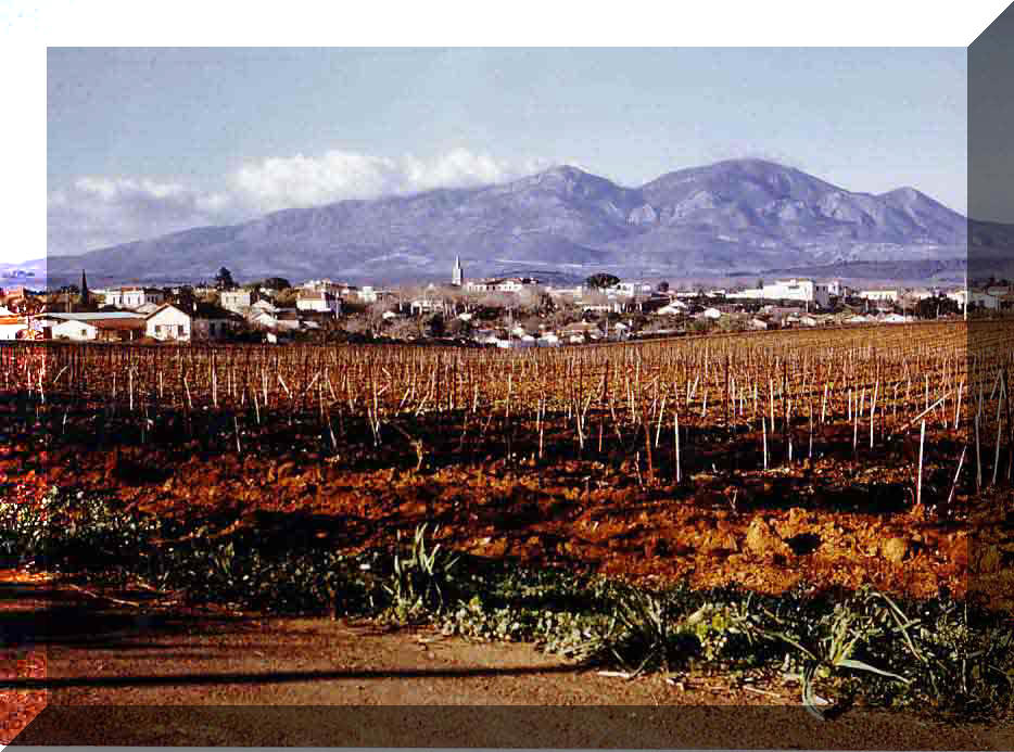 Vue gnrale de Marengo en 1962. Au fond le Chenoua.